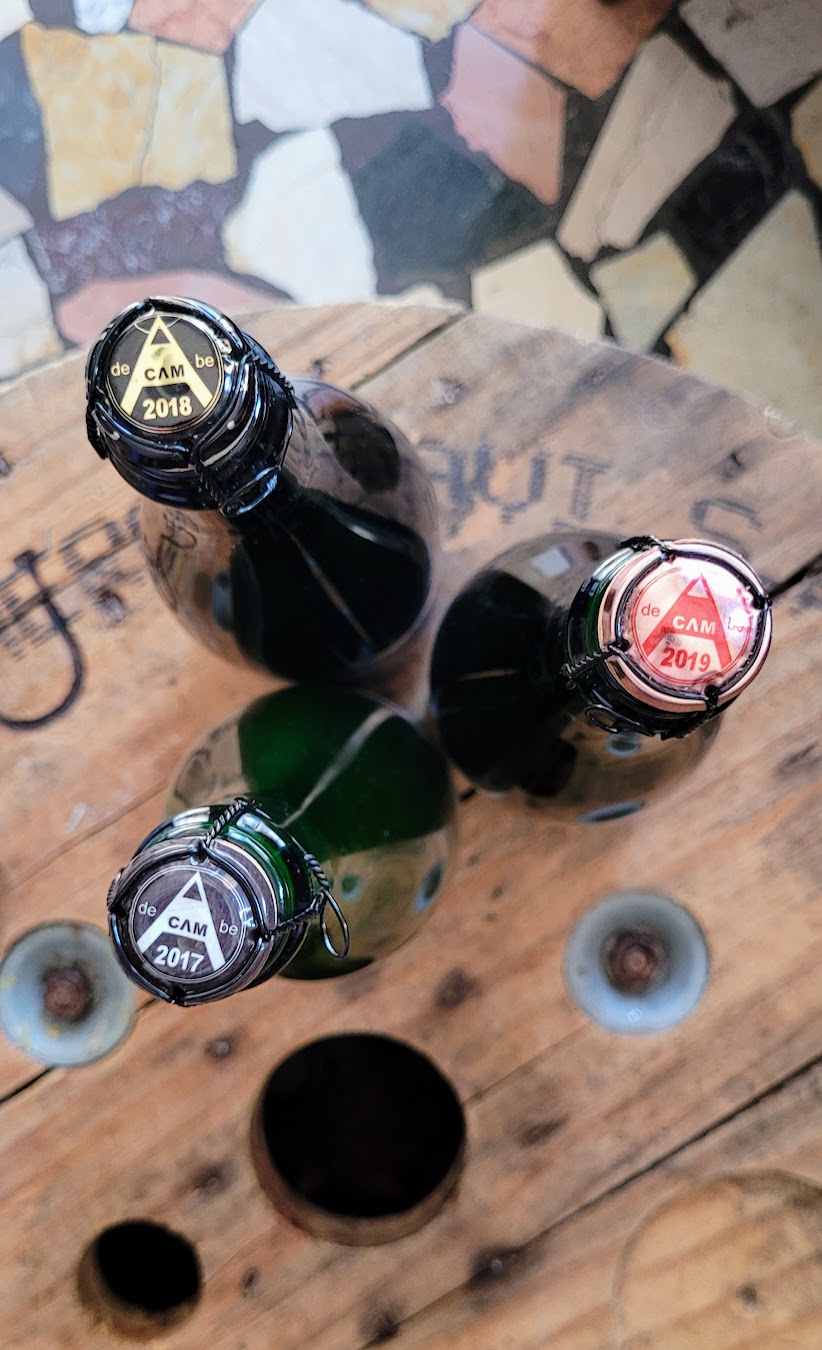 Degustazione del 23 maggio 2024, Le birre acide
