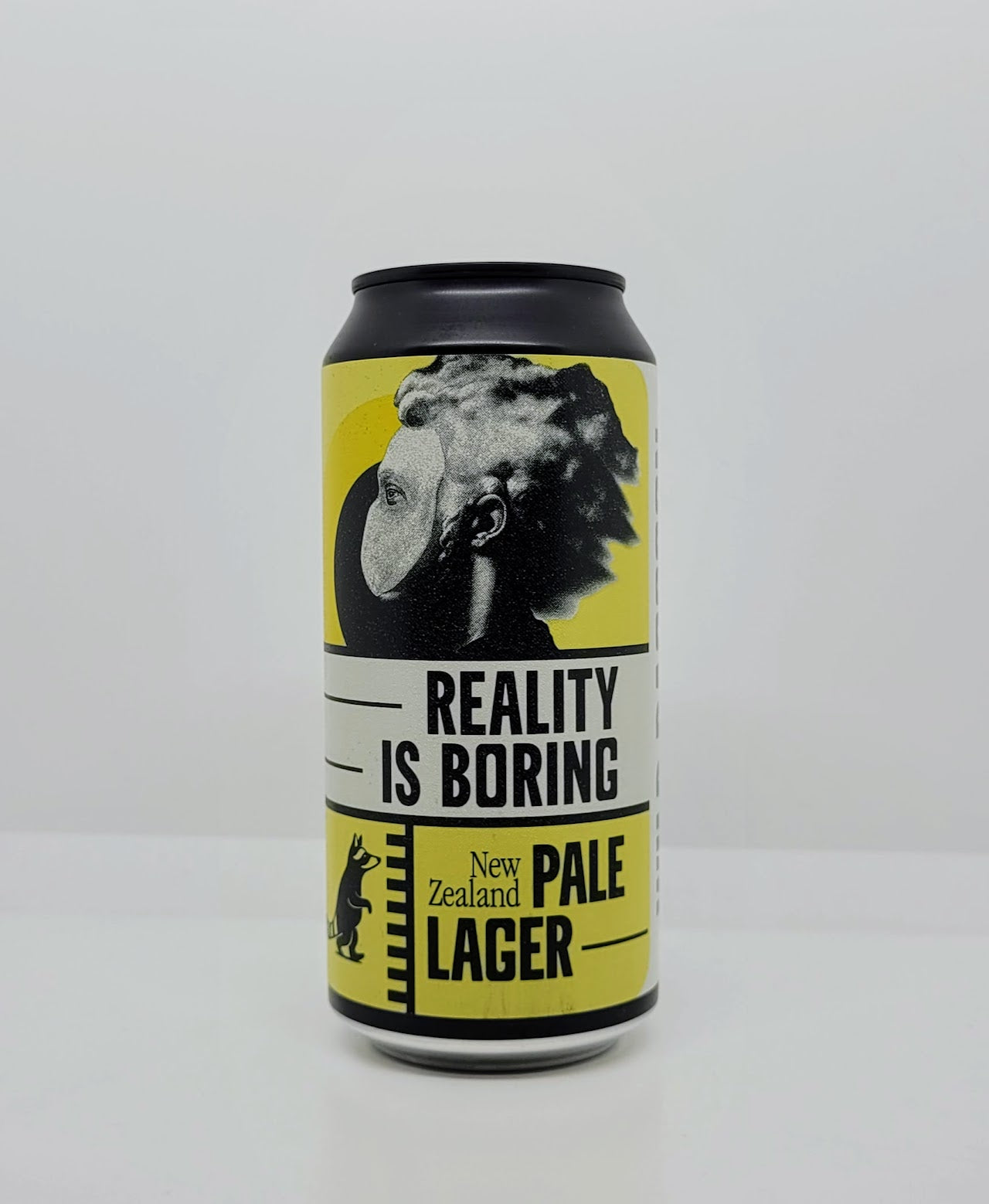 Reality is Boring